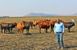 Crowd-farming platform wants to launch African wealth into the mainstrea
