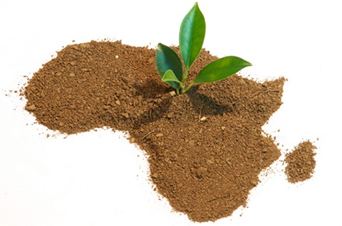 Proudly made in Africa