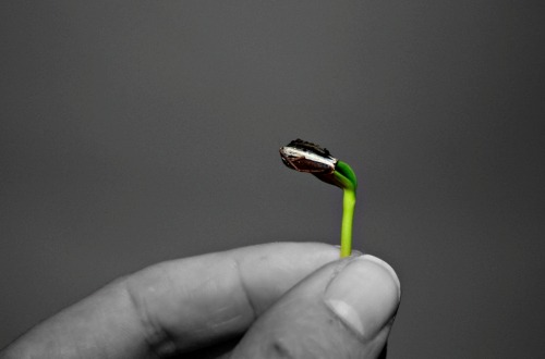 10 Seed Academy-backed startups you should know about