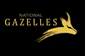 A look at the 40 SMEs chosen for the first National Gazelles programme