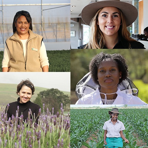 Women farming collage